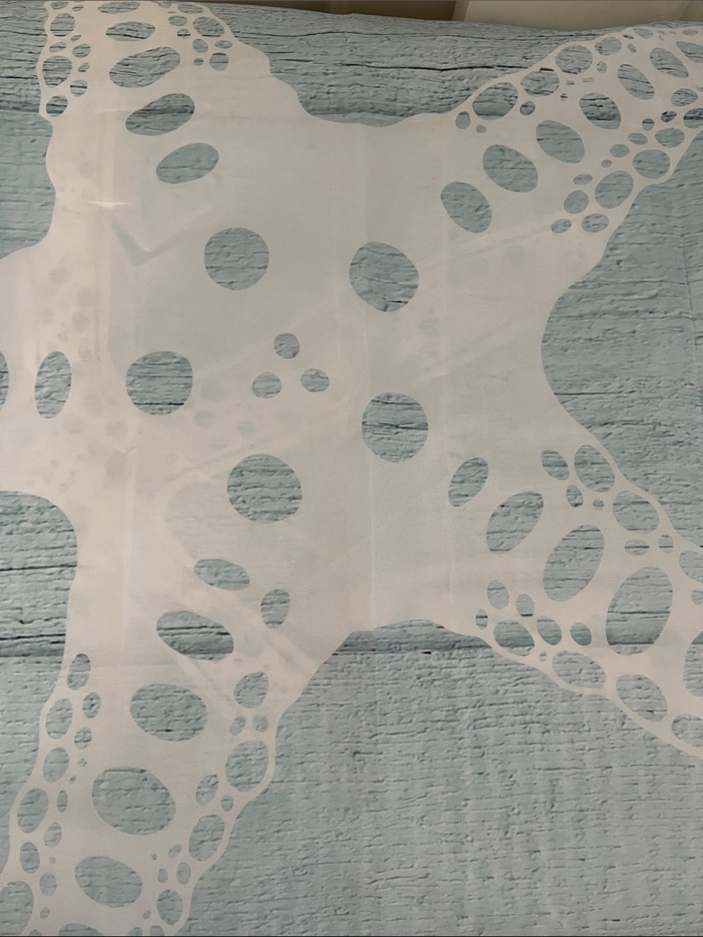New Shower curtain